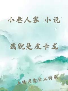 小巷人家 小说