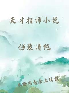 天才相师小说