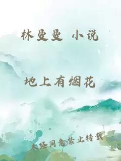 林曼曼 小说