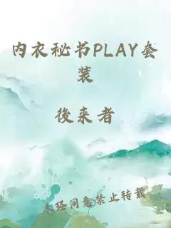 内衣秘书PLAY套装