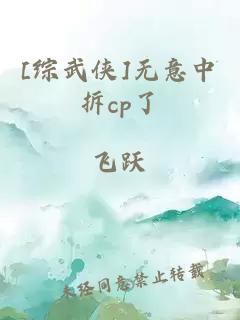 [综武侠]无意中拆cp了