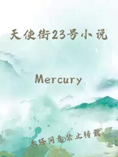 天使街23号小说