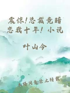 震惊!总裁竟暗恋我十年! 小说