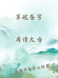 算破苍穹