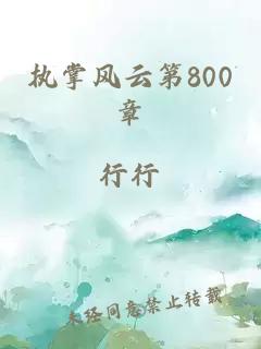 执掌风云第800章