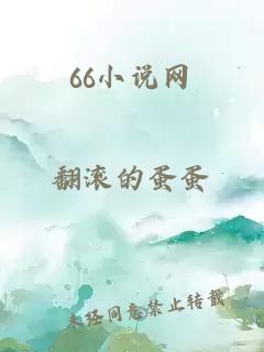 66小说网