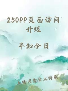 250PP页面访问升级