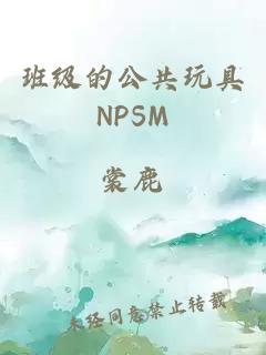 班级的公共玩具NPSM