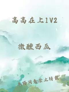 高高在上1V2