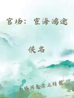 官场：宦海鸿途