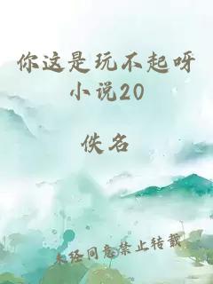 你这是玩不起呀小说20